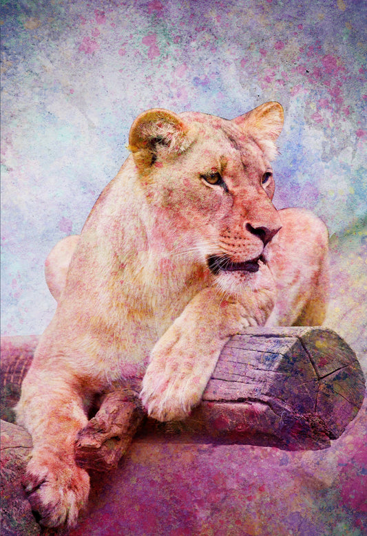 Tableau décoratif - Majestic Lioness